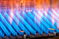 Treverbyn gas fired boilers